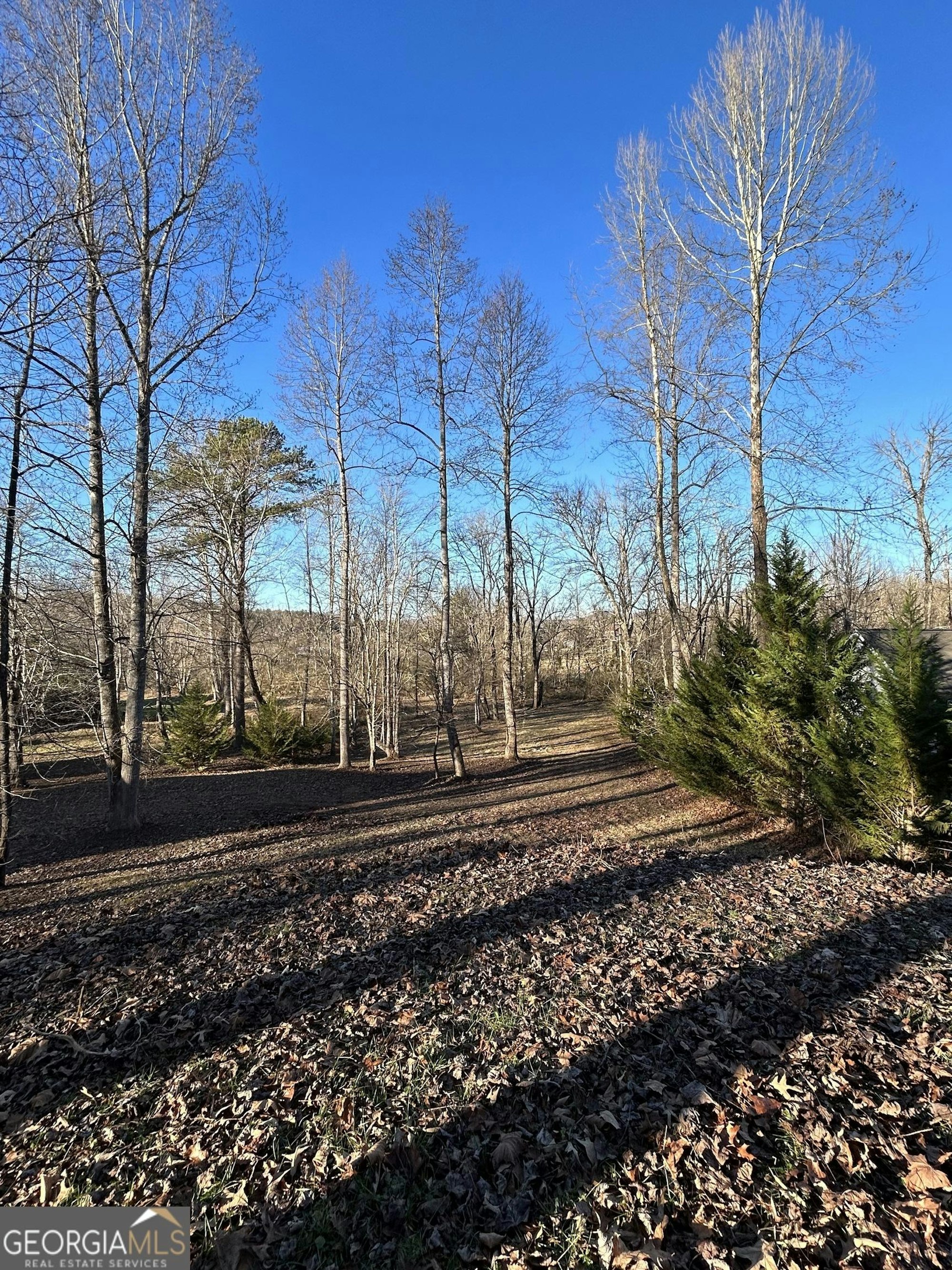 LOT 11 Willow Springs Rd, Young Harris GA 30582